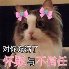 喵酱娱乐吃瓜,揭秘娱乐圈最新吃瓜大事件