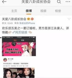 娱乐圈吃瓜故事小说推荐,瓜田里的秘密花园