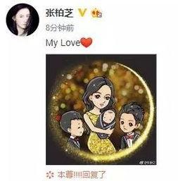 吃瓜娱乐圈动画在线观看,动画盛宴，娱乐圈风云尽收眼底