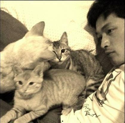 娱乐吃瓜君二豆猫,揭秘娱乐圈那些不为人知的幕后故事