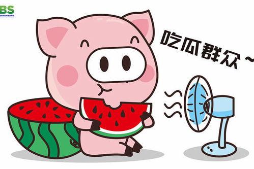 娱乐八卦一定是吃瓜群众,揭秘“吃瓜群众”的娱乐八卦盛宴