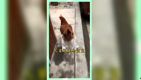 吃瓜群众的娱乐网名大全