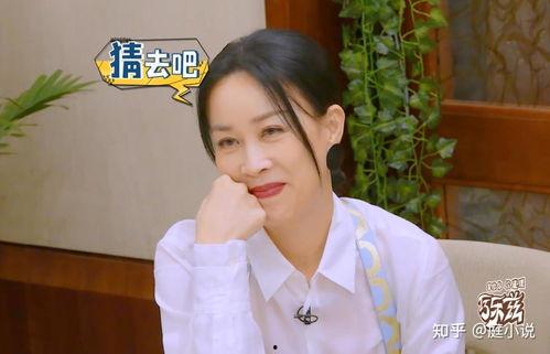 娱乐吃瓜酱明星大侦探,明星大侦探幕后揭秘，探秘明星们的神秘世界