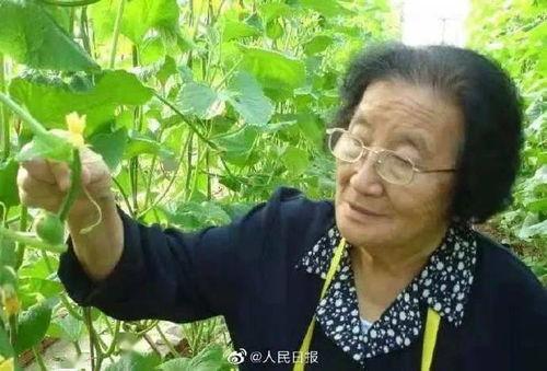 娱乐吃瓜酱同学结婚