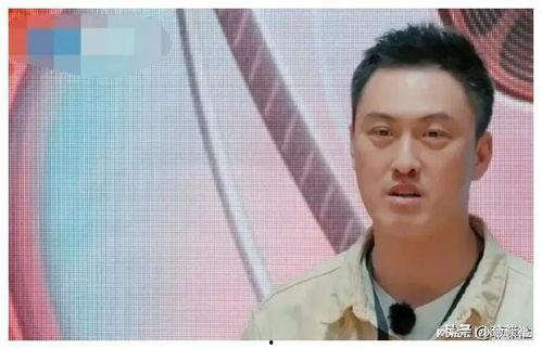 娱乐圈吃瓜集,揭秘明星幕后故事与八卦风云